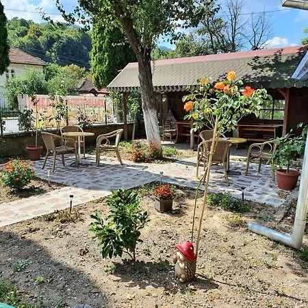 Стаи За Гости Тони Ribarica Exterior foto